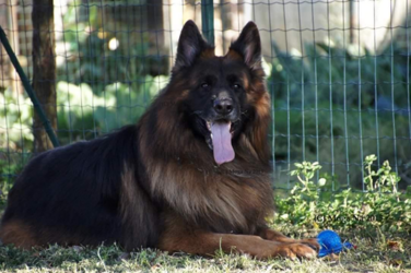 fido1