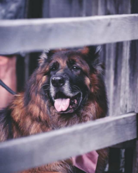 fido3