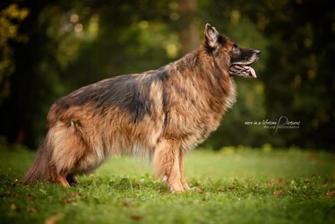 fido5